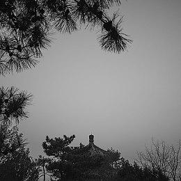 《仁王3》开发者访谈 如何将系列特色与开放区域融合